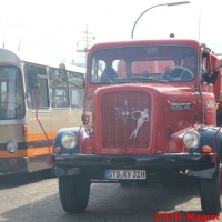 Nutzfahrzeugtreffen 2013